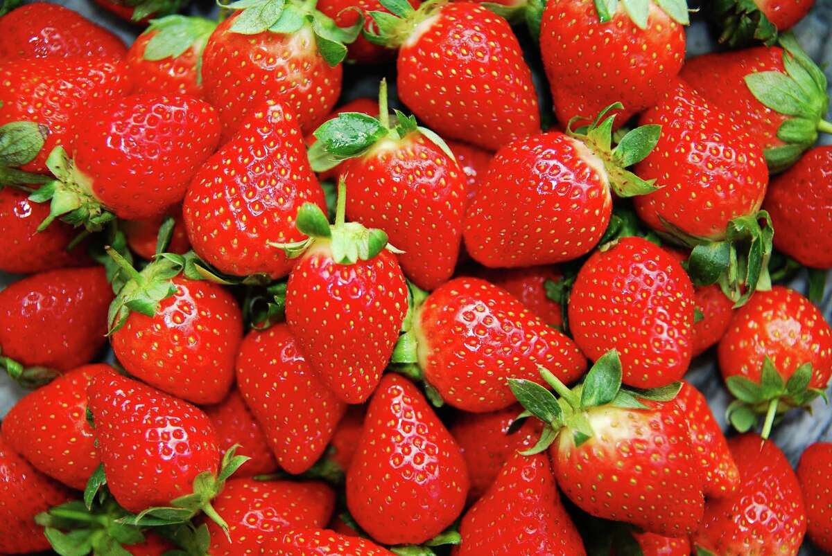 Calhoun Produce, Inc. photo 23
